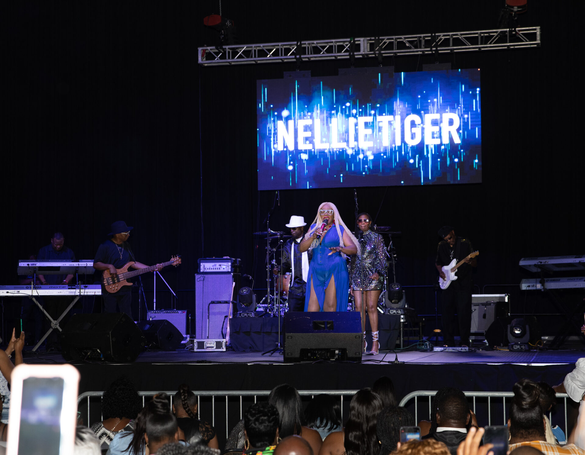 Experience the Southern Soul Music Festival Southern Soul Music Group